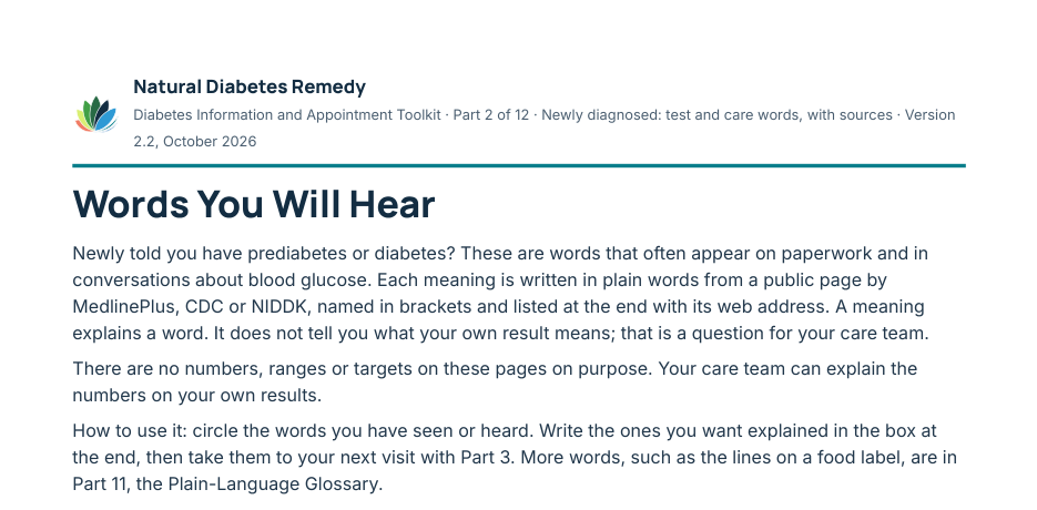 First page of Words You Will Hear: plain meanings of glucose, insulin, prediabetes, type 2 diabetes and the A1C test, each with a source code
